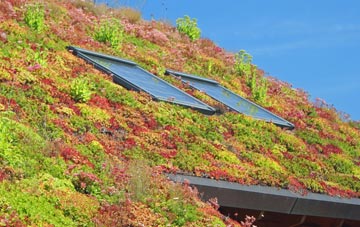 Minehead living roof systems